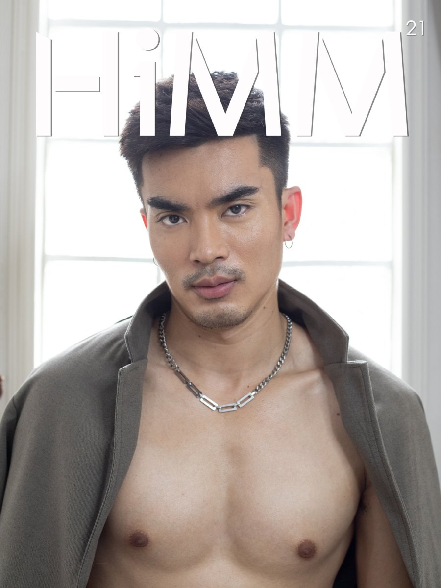 HiMM No.21 TIGER 1 2 HiMM 21 1